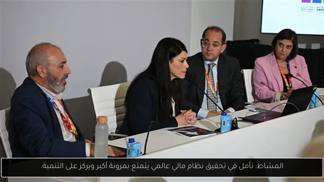 المشاط: نأمل في تحقيق نظام مالي عالمي يتمتع بمرونة أكبر ويركز على التنمية.
