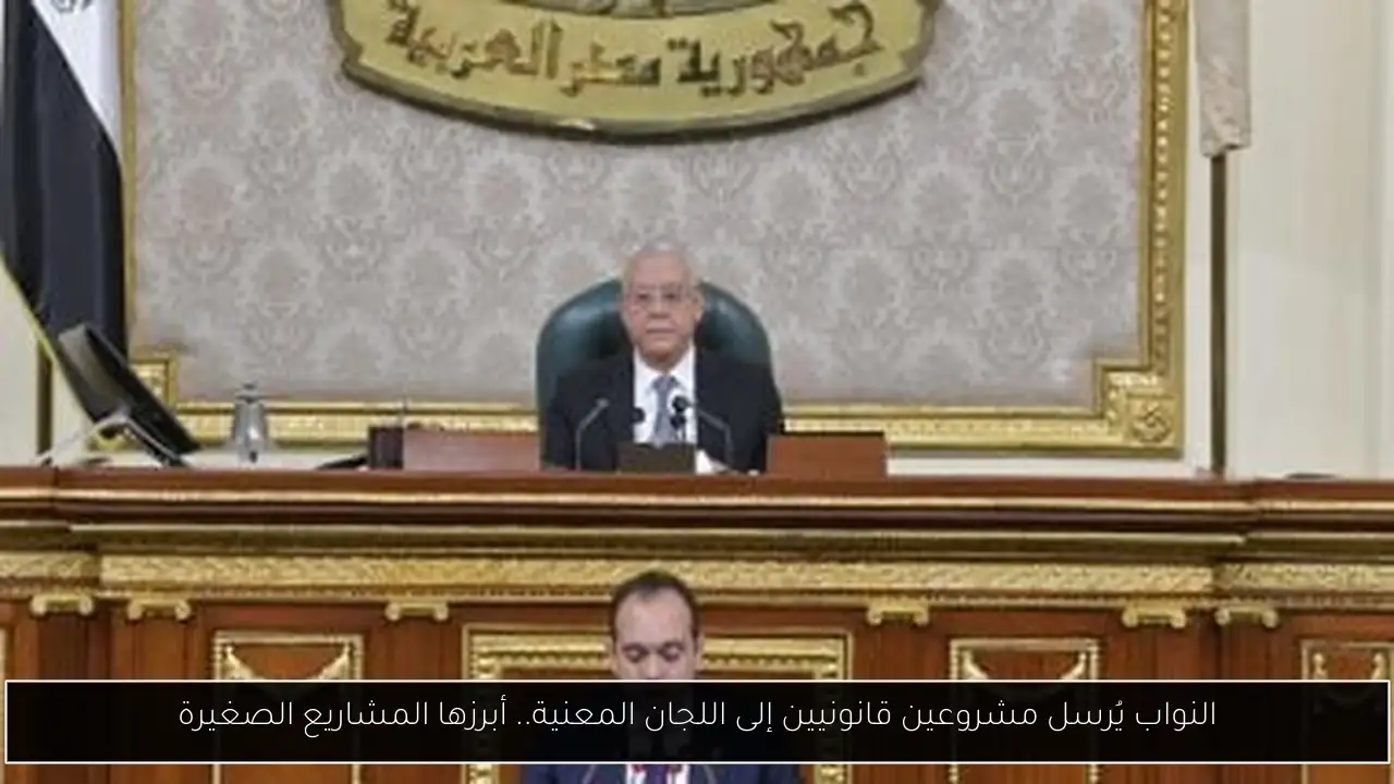 النواب يُرسل مشروعين قانونيين إلى اللجان المعنية.. أبرزها المشاريع الصغيرة