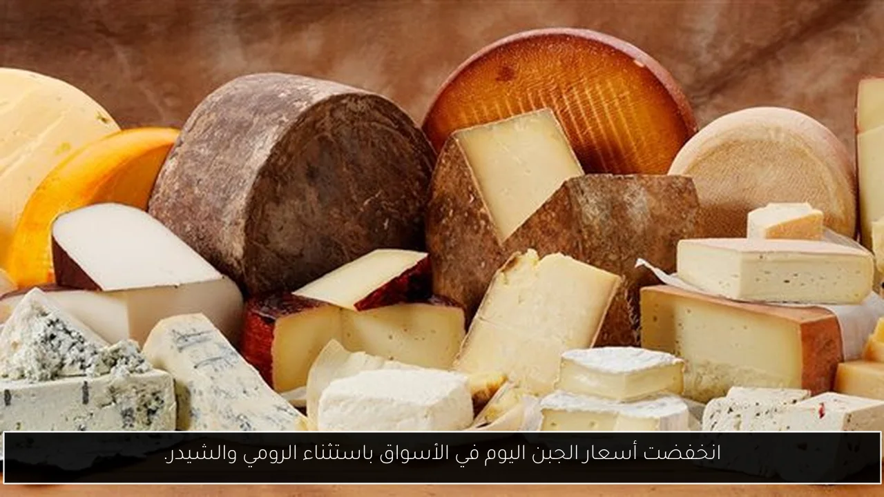 انخفضت أسعار الجبن اليوم في الأسواق باستثناء الرومي والشيدر.