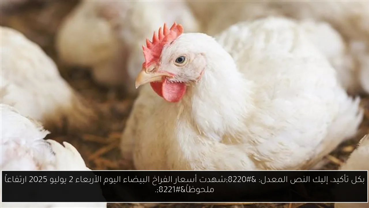 بكل تأكيد، إليك النص المعدل: “شهدت أسعار الفراخ البيضاء اليوم الأربعاء 2 يوليو 2025 ارتفاعاً ملحوظاً”.