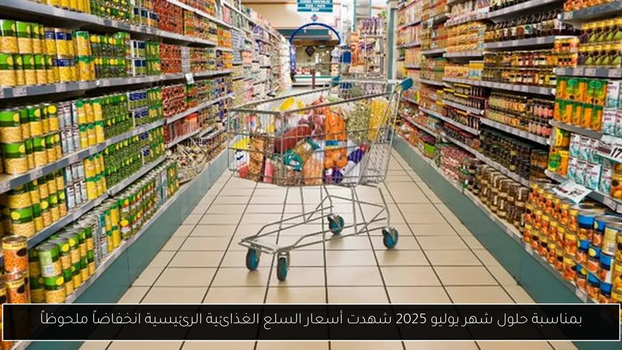 بمناسبة حلول شهر يوليو 2025 شهدت أسعار السلع الغذائية الرئيسية انخفاضاً ملحوظاً