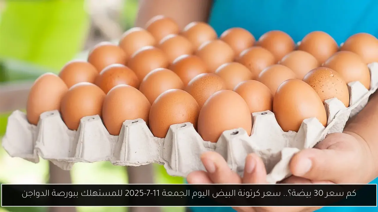 كم سعر 30 بيضة؟.. سعر كرتونة البيض اليوم الجمعة 11-7-2025 للمستهلك ببورصة الدواجن