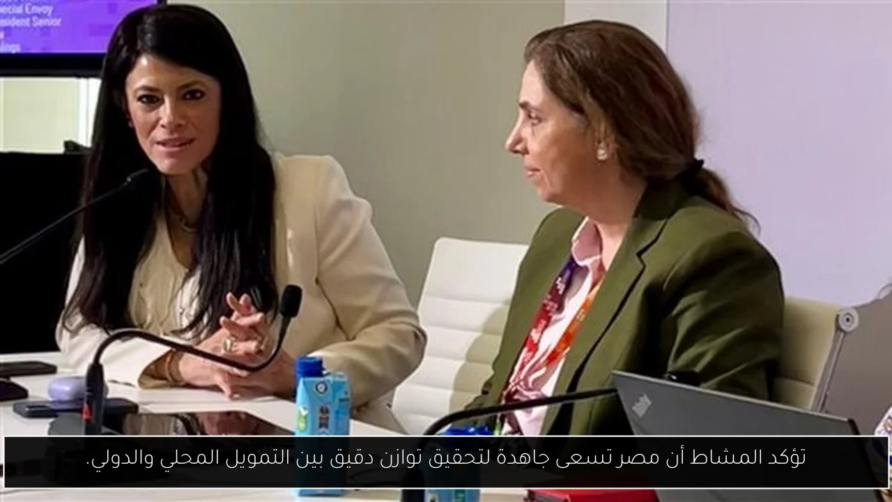تؤكد المشاط أن مصر تسعى جاهدة لتحقيق توازن دقيق بين التمويل المحلي والدولي.