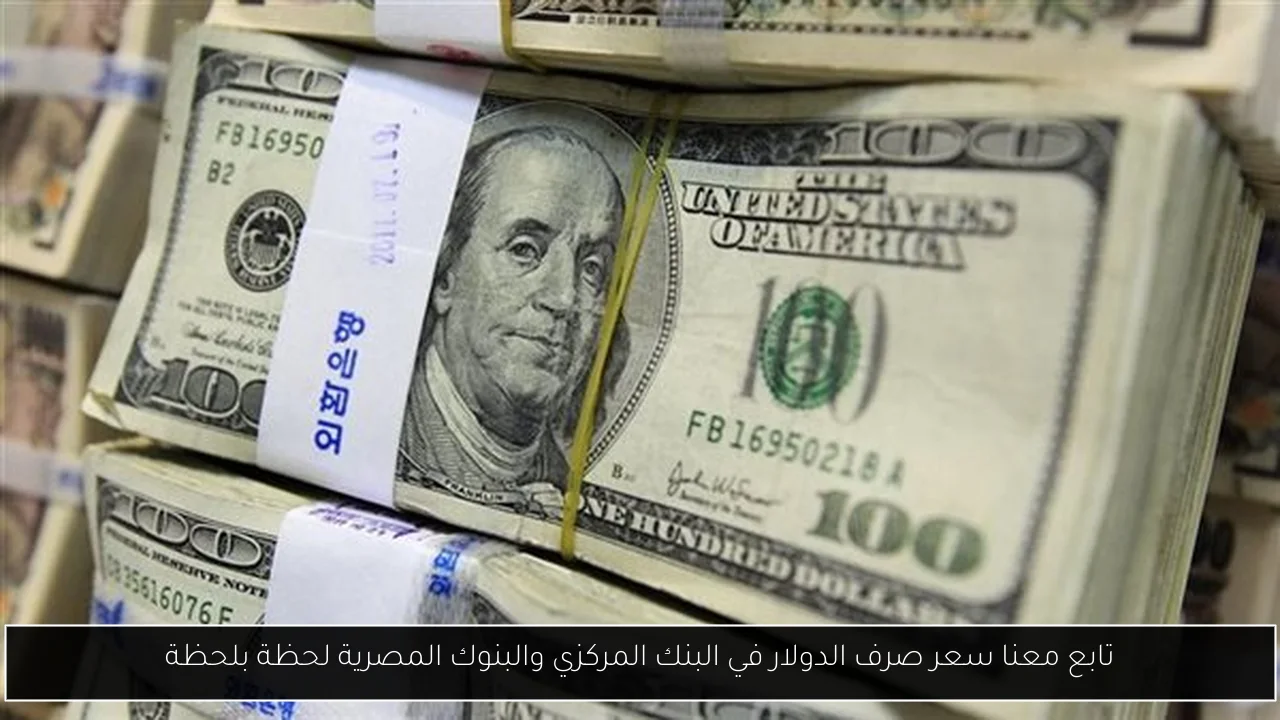 تابع معنا سعر صرف الدولار في البنك المركزي والبنوك المصرية لحظة بلحظة
