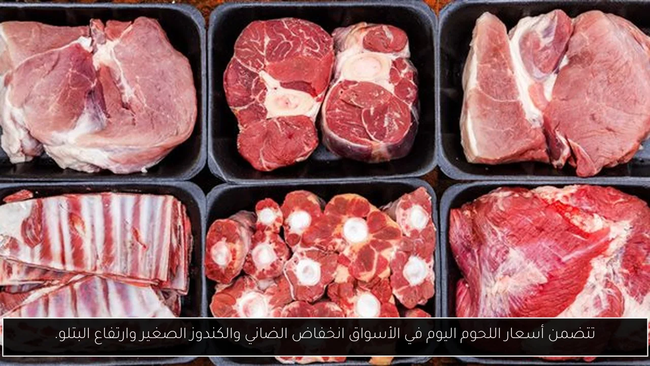 تتضمن أسعار اللحوم اليوم في الأسواق انخفاض الضاني والكندوز الصغير وارتفاع البتلو.