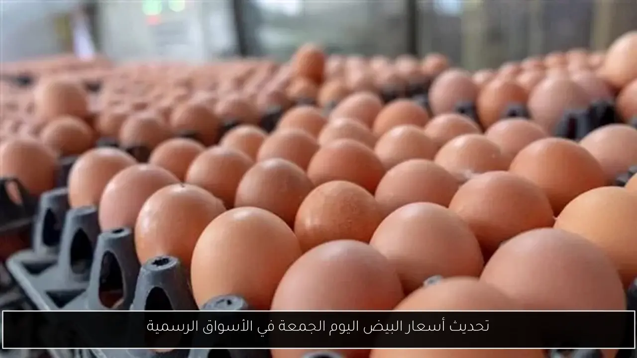 تحديث أسعار البيض اليوم الجمعة في الأسواق الرسمية