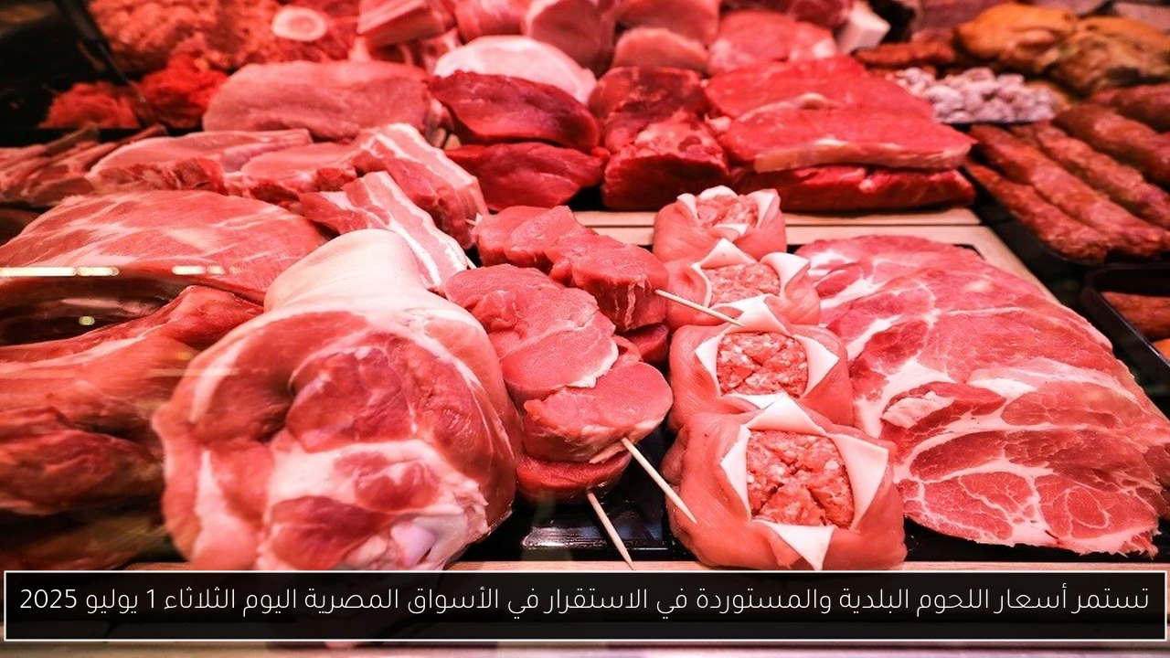 تستمر أسعار اللحوم البلدية والمستوردة في الاستقرار في الأسواق المصرية اليوم الثلاثاء 1 يوليو 2025