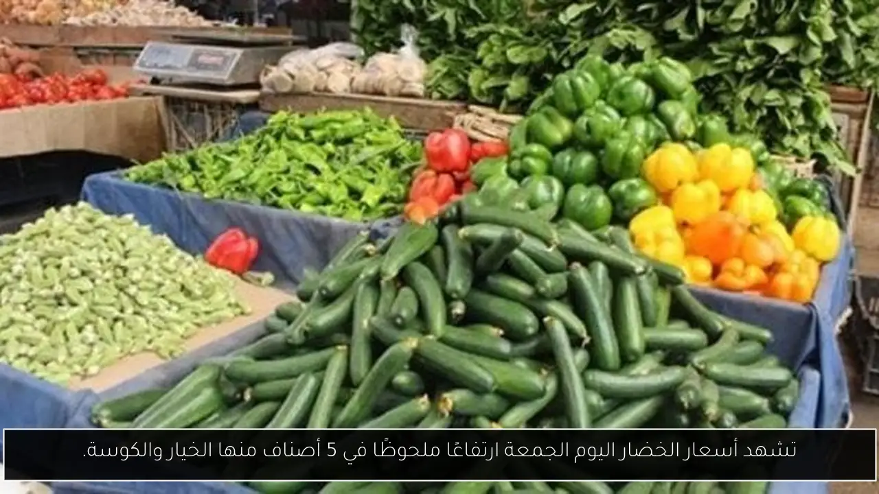 تشهد أسعار الخضار اليوم الجمعة ارتفاعًا ملحوظًا في 5 أصناف منها الخيار والكوسة.