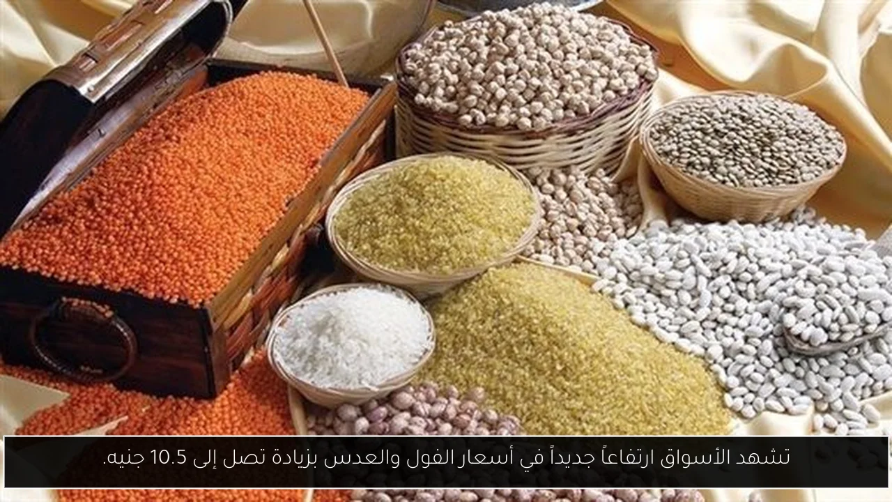 تشهد الأسواق ارتفاعاً جديداً في أسعار الفول والعدس بزيادة تصل إلى 10.5 جنيه.
