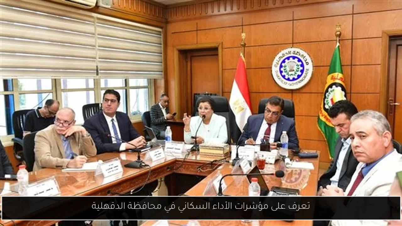 تعرف على مؤشرات الأداء السكاني في محافظة الدقهلية