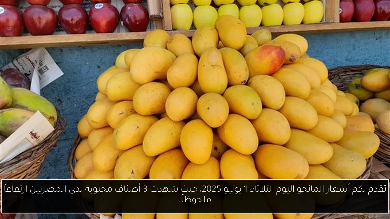 تقدم لكم أسعار المانجو اليوم الثلاثاء 1 يوليو 2025، حيث شهدت 3 أصناف محبوبة لدى المصريين ارتفاعاً ملحوظاً.