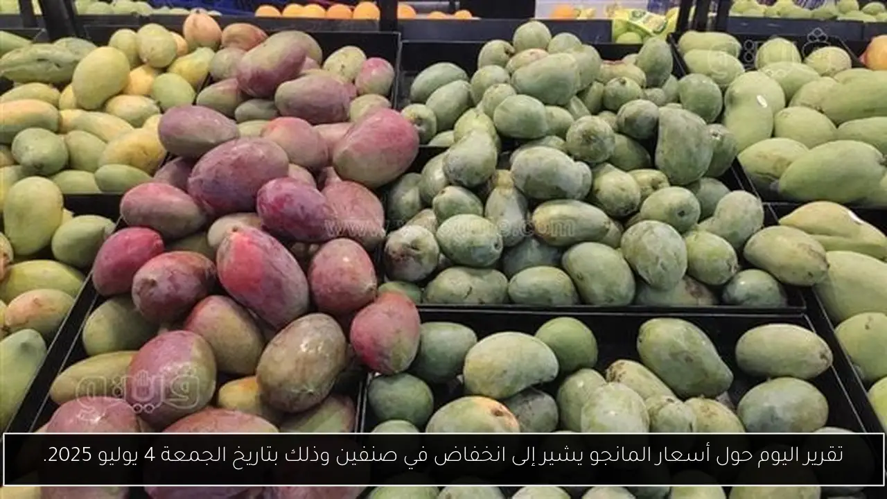 تقرير اليوم حول أسعار المانجو يشير إلى انخفاض في صنفين وذلك بتاريخ الجمعة 4 يوليو 2025.