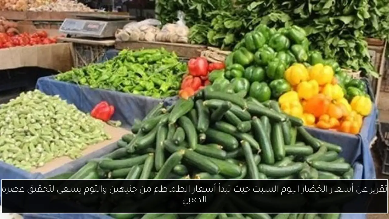 تقرير عن أسعار الخضار اليوم السبت حيث تبدأ أسعار الطماطم من جنيهين والثوم يسعى لتحقيق عصره الذهبي