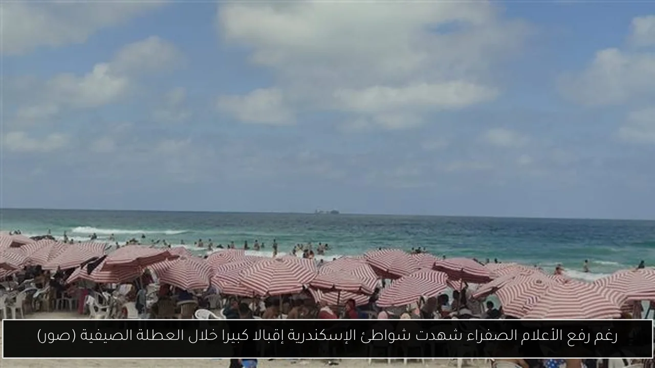 رغم رفع الأعلام الصفراء شهدت شواطئ الإسكندرية إقبالا كبيرا خلال العطلة الصيفية (صور)