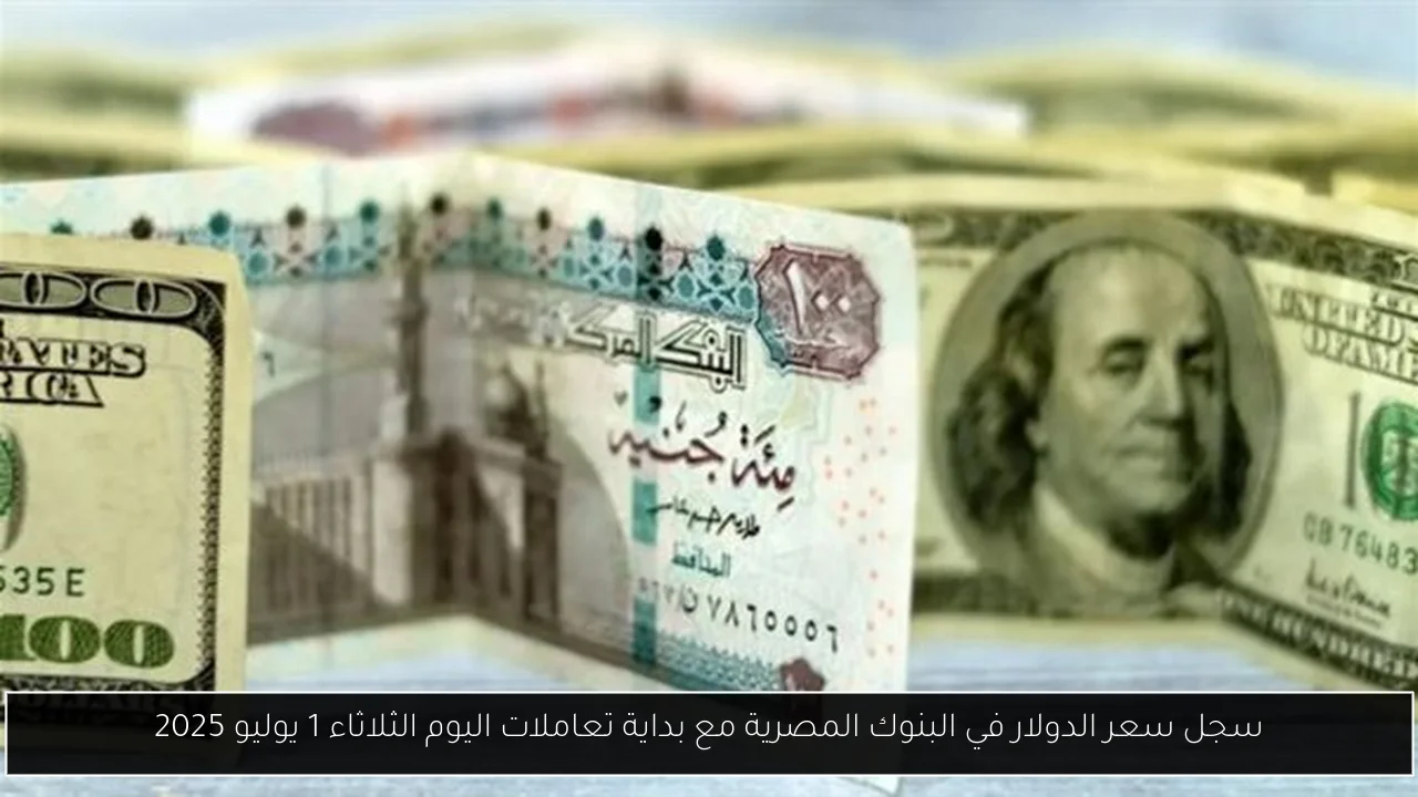 سجل سعر الدولار في البنوك المصرية مع بداية تعاملات اليوم الثلاثاء 1 يوليو 2025
