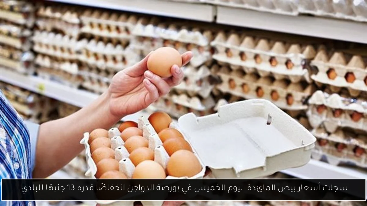سجلت أسعار بيض المائدة اليوم الخميس في بورصة الدواجن انخفاضًا قدره 13 جنيهًا للبلدي.