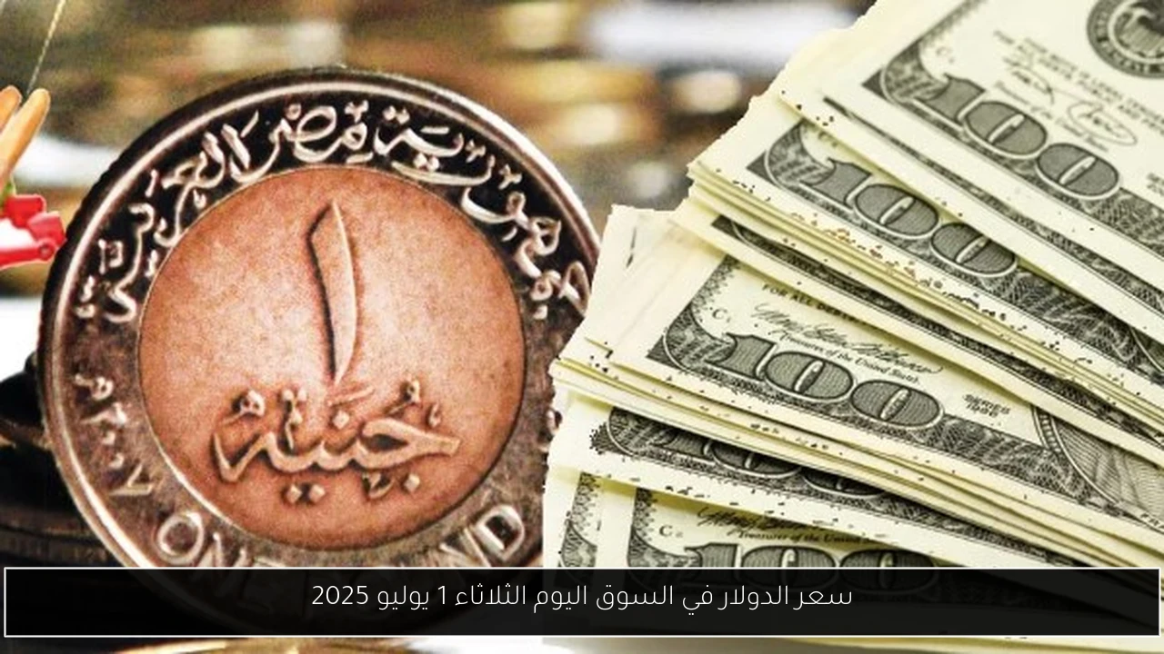 سعر الدولار في السوق اليوم الثلاثاء 1 يوليو 2025