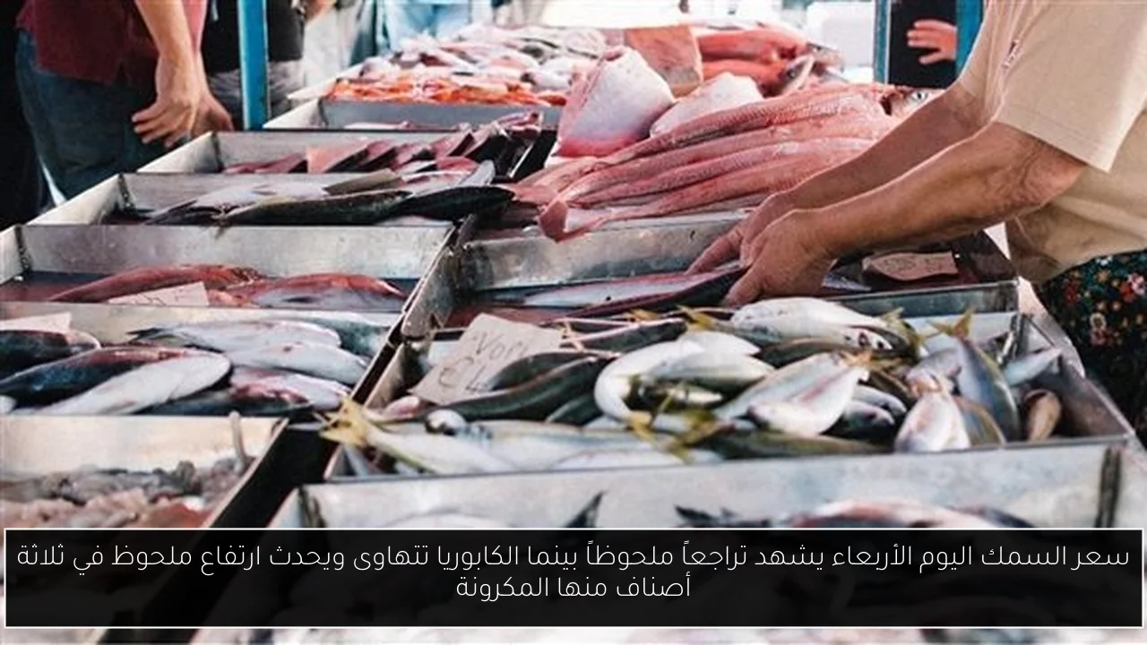 سعر السمك اليوم الأربعاء يشهد تراجعاً ملحوظاً بينما الكابوريا تتهاوى ويحدث ارتفاع ملحوظ في ثلاثة أصناف منها المكرونة