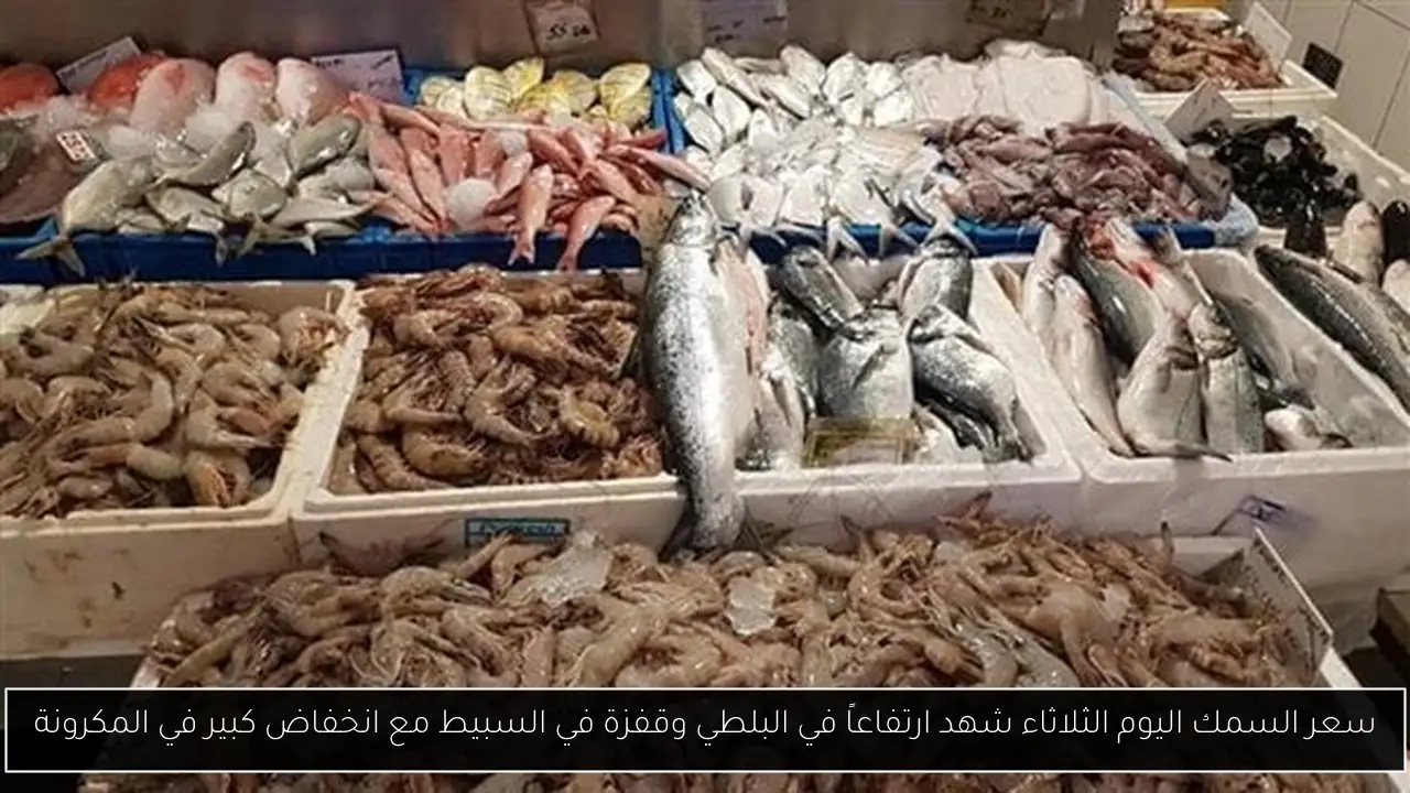 سعر السمك اليوم الثلاثاء شهد ارتفاعاً في البلطي وقفزة في السبيط مع انخفاض كبير في المكرونة