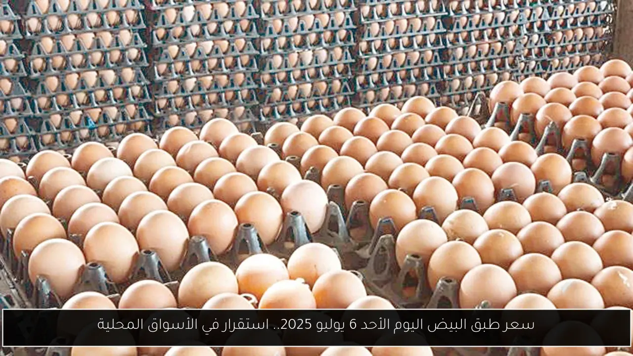 سعر طبق البيض اليوم الأحد 6 يوليو 2025.. استقرار في الأسواق المحلية