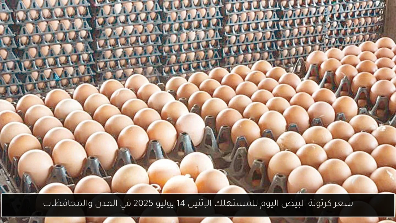 سعر كرتونة البيض اليوم للمستهلك الإثنين 14 يوليو 2025 في المدن والمحافظات