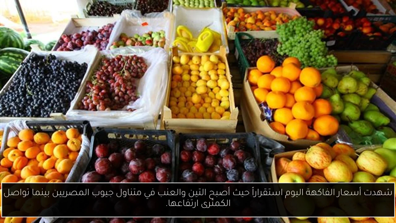 شهدت أسعار الفاكهة اليوم استقراراً حيث أصبح التين والعنب في متناول جيوب المصريين بينما تواصل الكمثرى ارتفاعها.