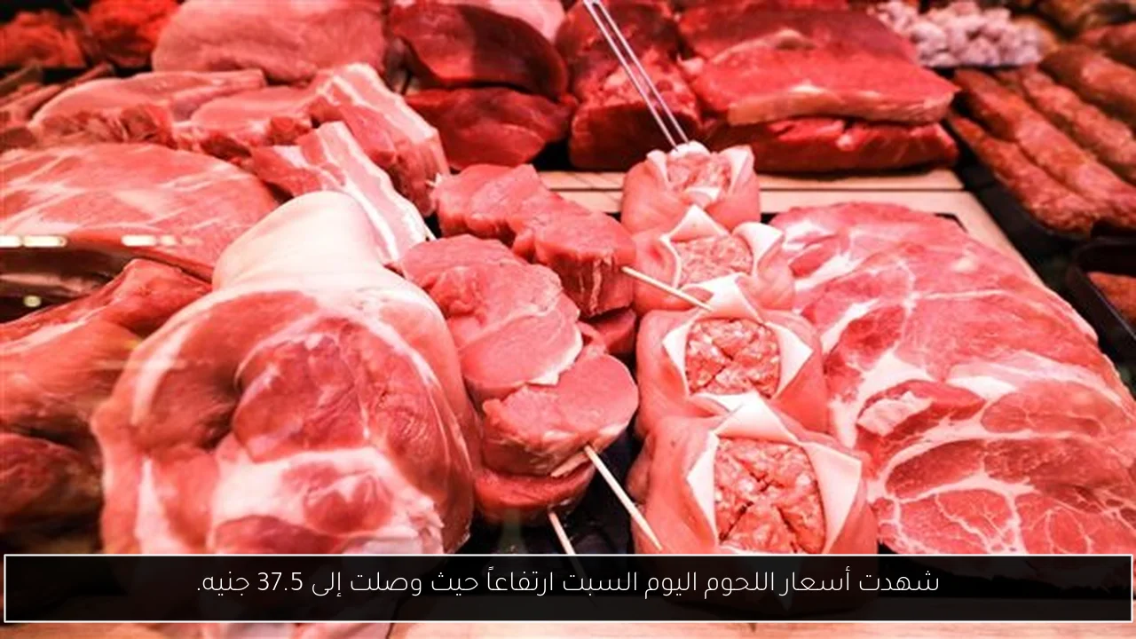 شهدت أسعار اللحوم اليوم السبت ارتفاعاً حيث وصلت إلى 37.5 جنيه.