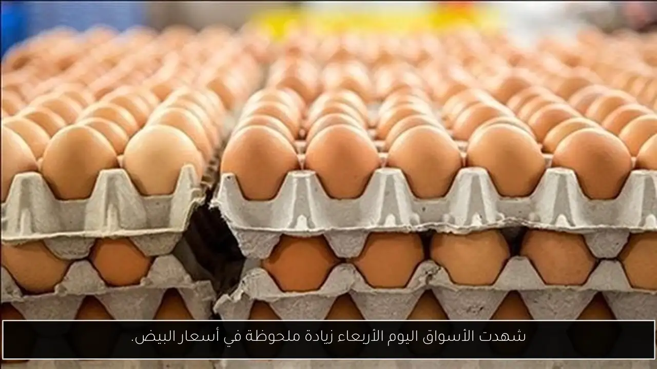 شهدت الأسواق اليوم الأربعاء زيادة ملحوظة في أسعار البيض.
