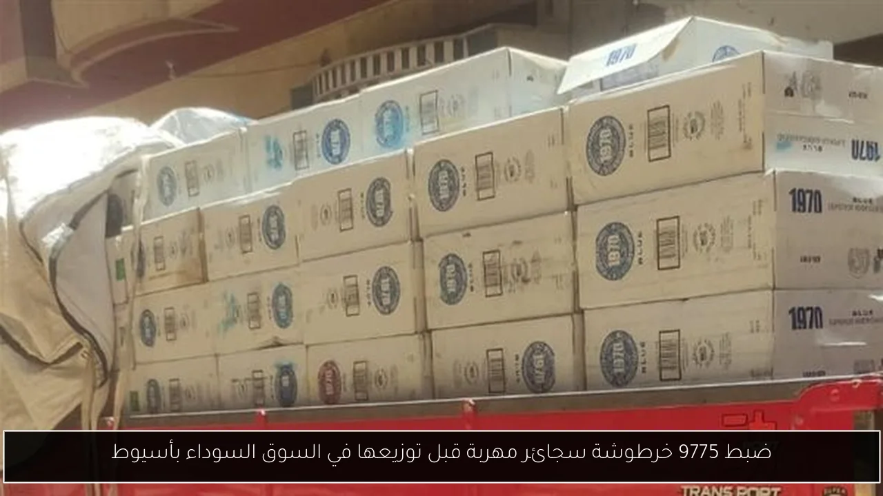 ضبط 9775 خرطوشة سجائر مهربة قبل توزيعها في السوق السوداء بأسيوط