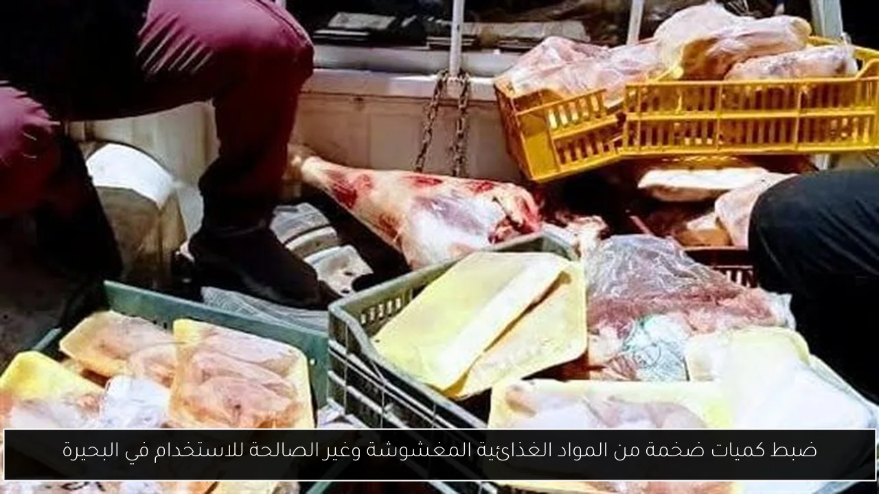 ضبط كميات ضخمة من المواد الغذائية المغشوشة وغير الصالحة للاستخدام في البحيرة