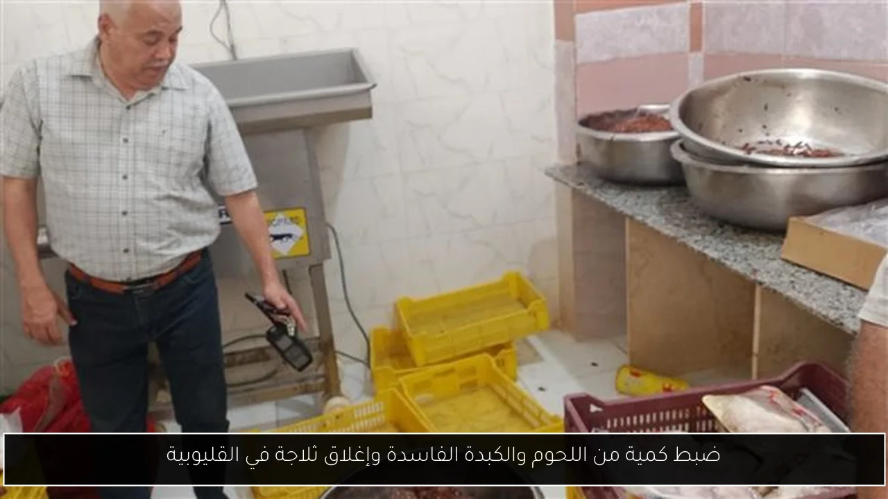 ضبط كمية من اللحوم والكبدة الفاسدة وإغلاق ثلاجة في القليوبية