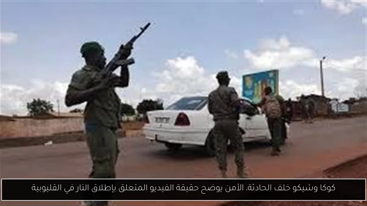 كوكا وشيكو خلف الحادثة، الأمن يوضح حقيقة الفيديو المتعلق بإطلاق النار في القليوبية