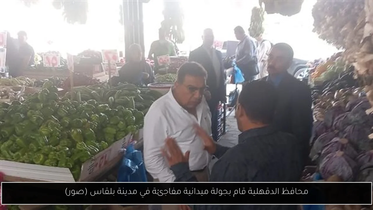 محافظ الدقهلية قام بجولة ميدانية مفاجئة في مدينة بلقاس (صور)