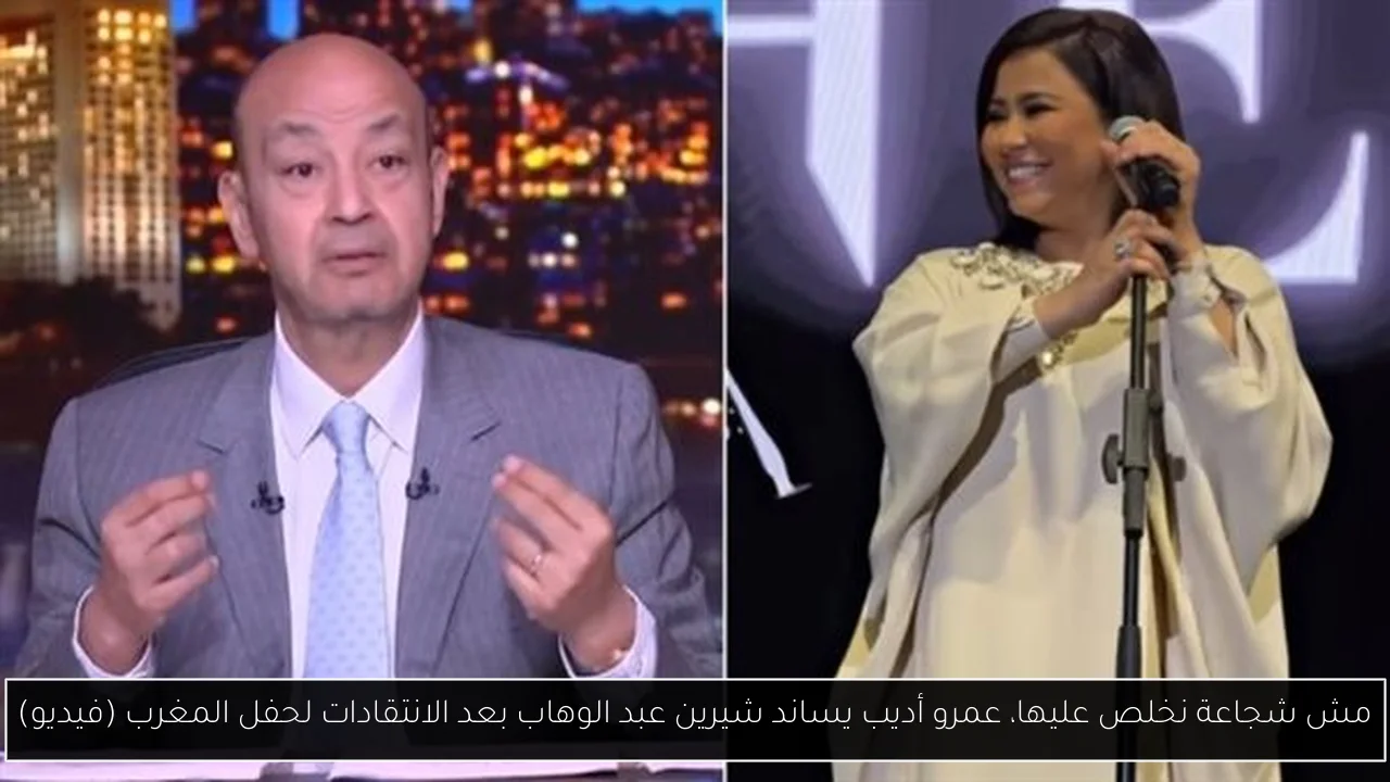 مش شجاعة نخلص عليها، عمرو أديب يساند شيرين عبد الوهاب بعد الانتقادات لحفل المغرب (فيديو)