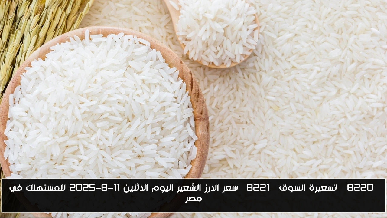 “تسعيرة السوق” سعر الارز الشعير اليوم الاثنين 11-8-2025 للمستهلك في مصر