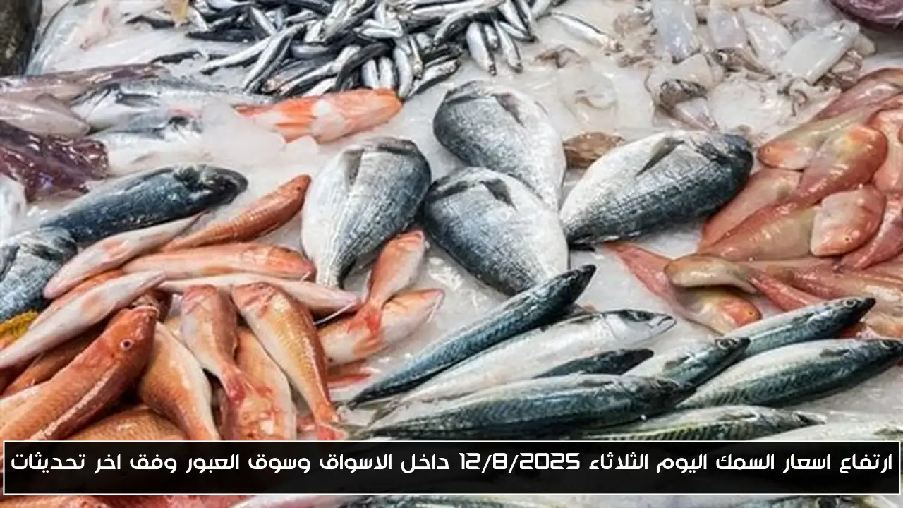 ارتفاع اسعار السمك اليوم الثلاثاء 12/8/2025 داخل الاسواق وسوق العبور وفق اخر تحديثات