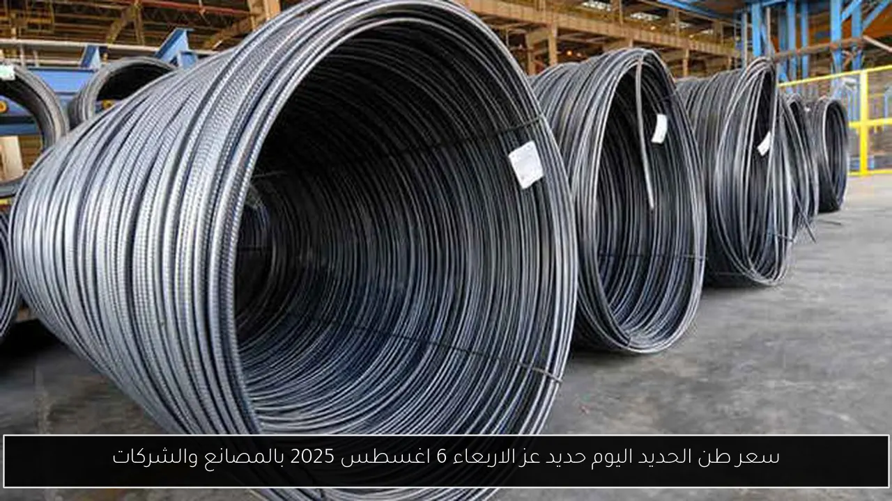 سعر طن الحديد اليوم حديد عز الاربعاء 6 اغسطس 2025 بالمصانع والشركات