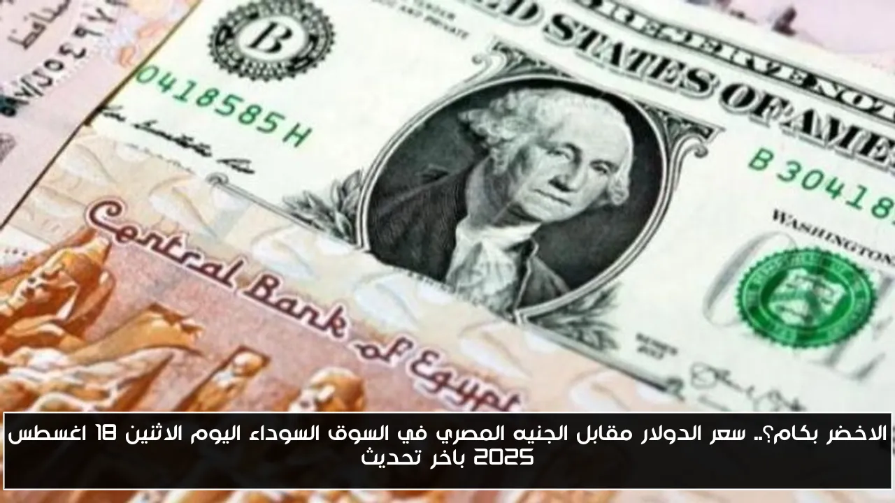 الاخضر بكام؟.. سعر الدولار مقابل الجنيه المصري في السوق السوداء اليوم الاثنين 18 اغسطس 2025 باخر تحديث