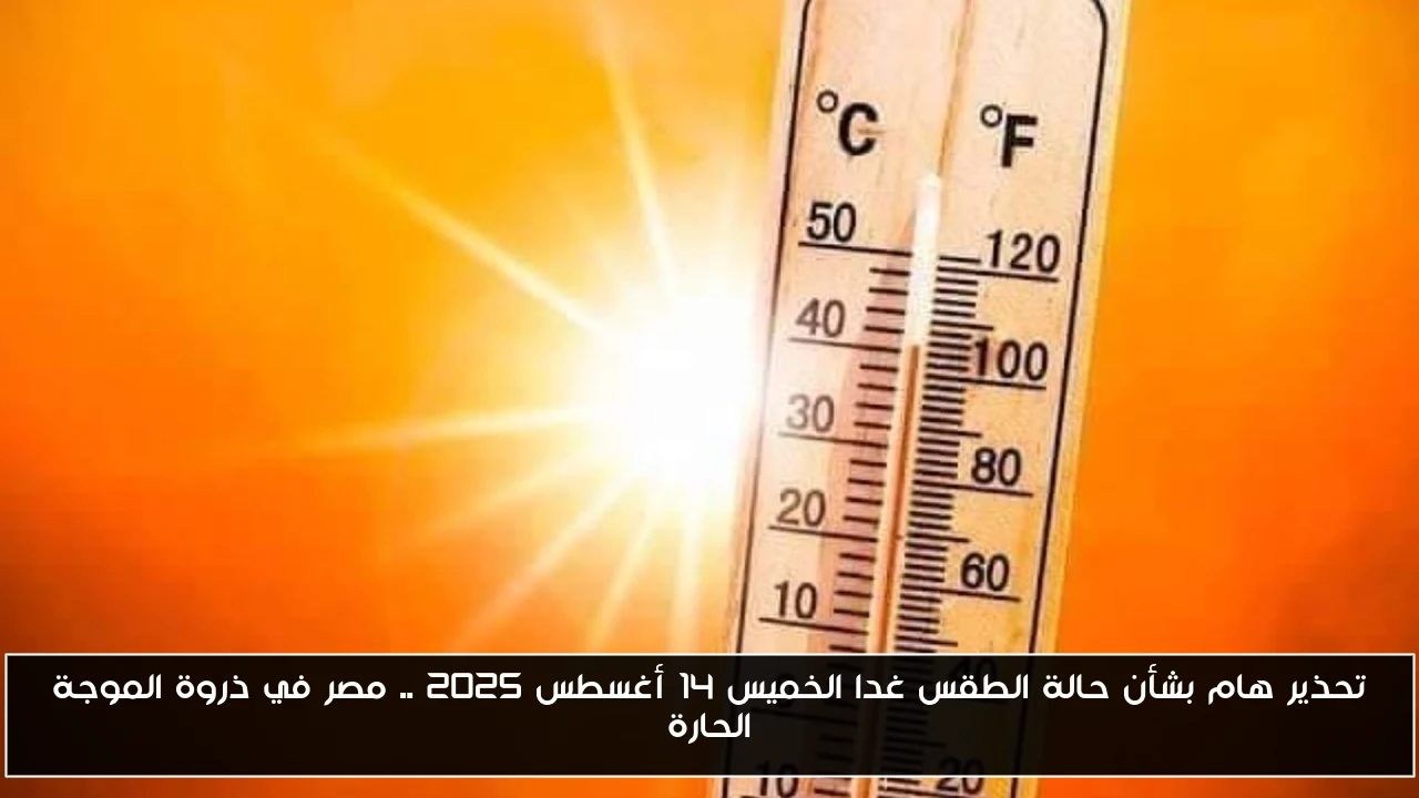 تحذير هام بشأن حالة الطقس غدا الخميس 14 أغسطس 2025 .. مصر في ذروة الموجة الحارة