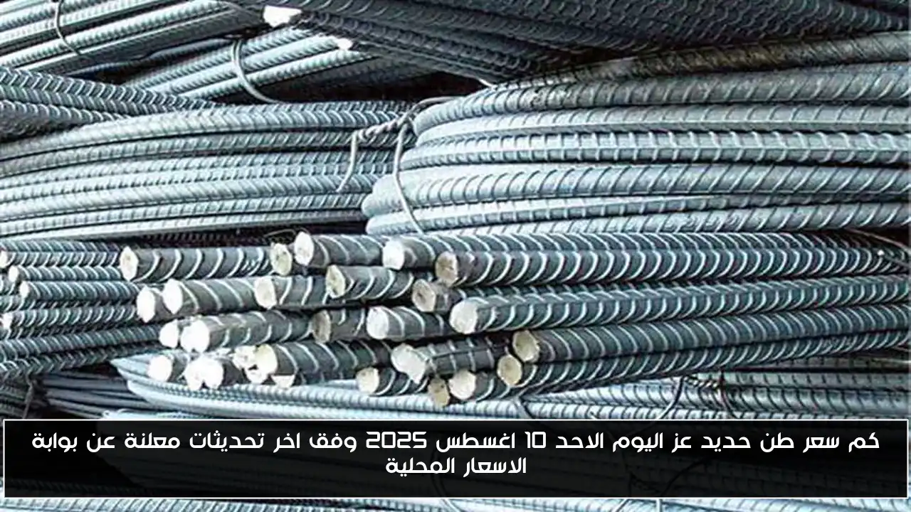 كم سعر طن حديد عز اليوم الاحد 10 اغسطس 2025 وفق اخر تحديثات معلنة عن بوابة الاسعار المحلية