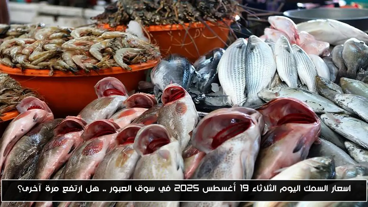 اسعار السمك اليوم الثلاثاء 19 أغسطس 2025 في سوق العبور .. هل ارتفع مرة آخرى؟