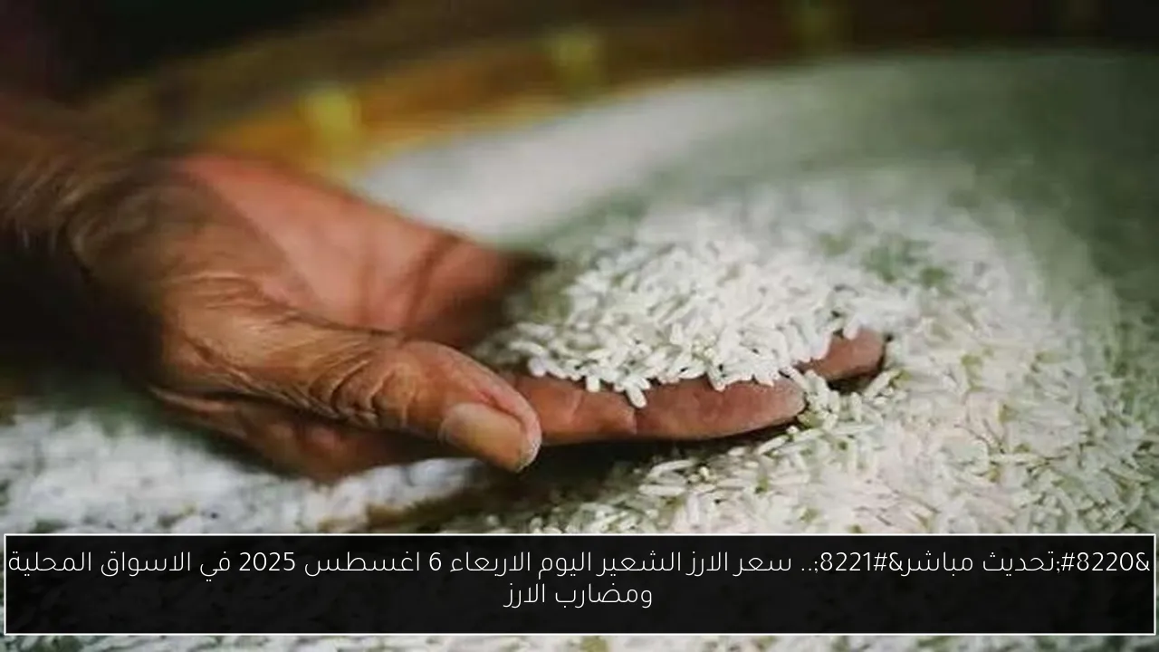 “تحديث مباشر”.. سعر الارز الشعير اليوم الاربعاء 6 اغسطس 2025 في الاسواق المحلية ومضارب الارز