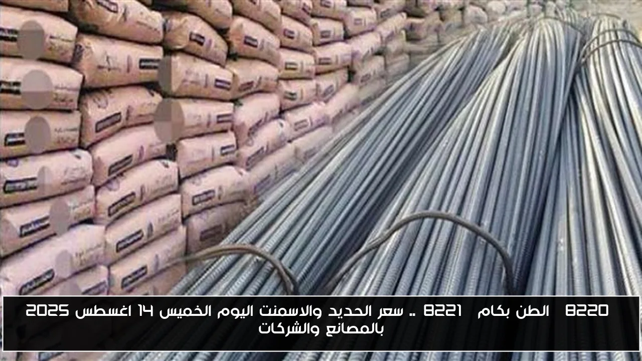 “الطن بكام”.. سعر الحديد والاسمنت اليوم الخميس 14 اغسطس 2025 بالمصانع والشركات