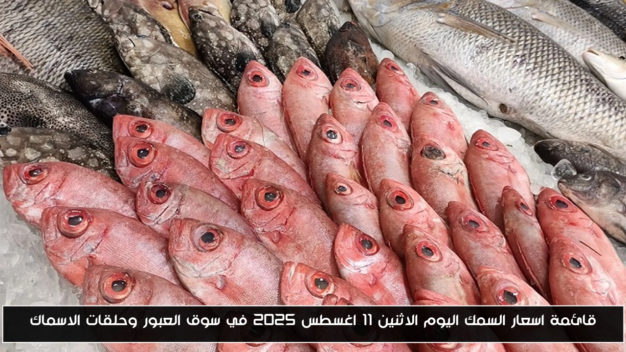قائمة اسعار السمك اليوم الاثنين 11 اغسطس 2025 في سوق العبور وحلقات الاسماك