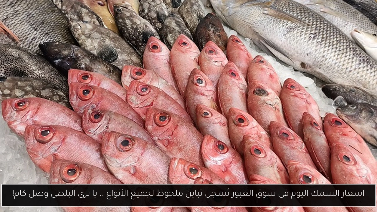 اسعار السمك اليوم في سوق العبور تُسجل تباين ملحوظ لجميع الأنواع .. يا ترى البلطي وصل كام!