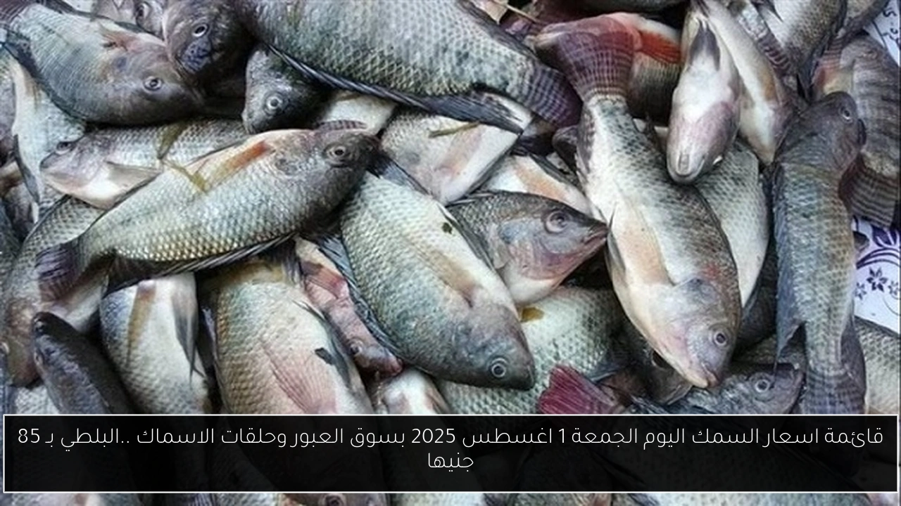 قائمة اسعار السمك اليوم الجمعة 1 اغسطس 2025 بسوق العبور وحلقات الاسماك ..البلطي بـ 85 جنيها
