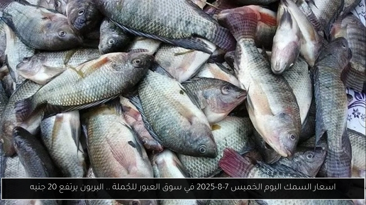 اسعار السمك اليوم الخميس 7-8-2025 في سوق العبور للجُملة .. البربون يرتفع 20 جنيه