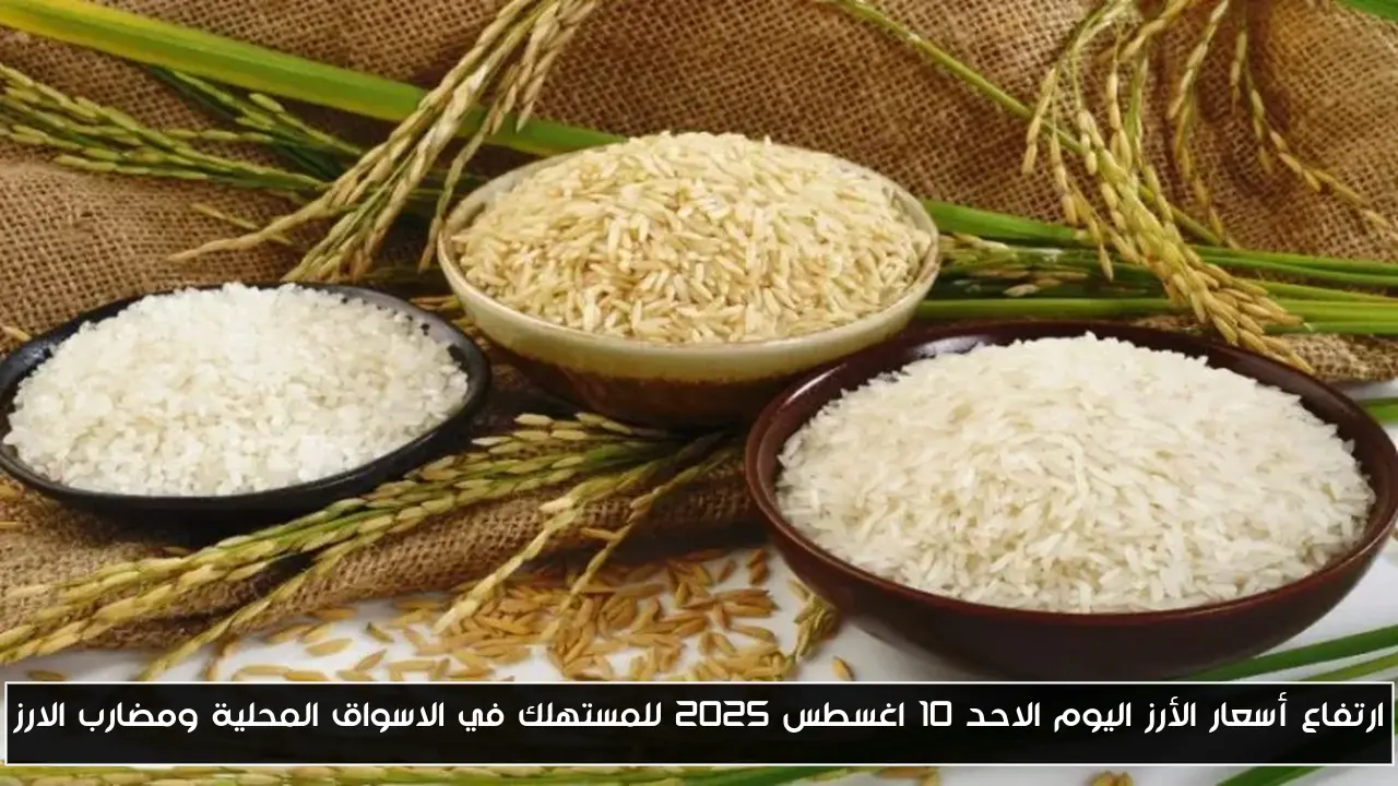 ارتفاع أسعار الأرز اليوم الاحد 10 اغسطس 2025 للمستهلك في الاسواق المحلية ومضارب الارز