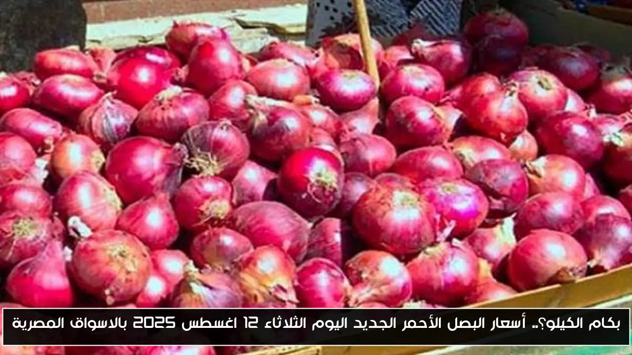 بكام الكيلو؟.. أسعار البصل الأحمر الجديد اليوم الثلاثاء 12 اغسطس 2025 بالاسواق المصرية
