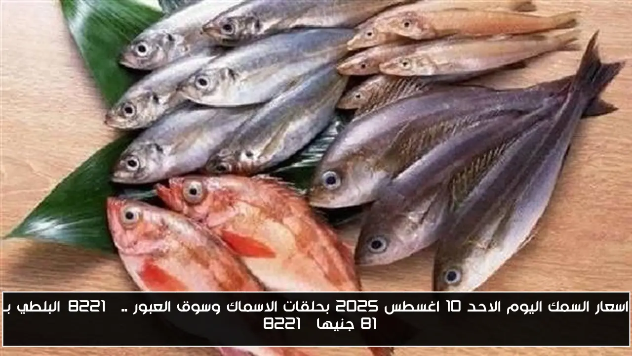 اسعار السمك اليوم الاحد 10 اغسطس 2025 بحلقات الاسماك وسوق العبور ..”البلطي بـ 81 جنيها”
